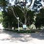 Hyde Park and Archibald Fountain - Sydney CBD