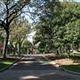 Hyde Park and Archibald Fountain - Sydney CBD