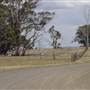 Road from Coolah Tops to Coolah