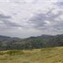 Road from Coolah Tops to Coolah