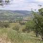 Road from Coolah Tops to Coolah