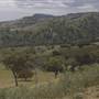 Road from Coolah Tops to Coolah