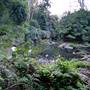 Red Cedar Flat picnic area