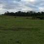 Scenic NSW Equine Centre