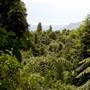 Scenic World