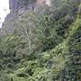 Scenic World