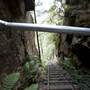 Scenic World