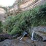 Wentworth Falls
