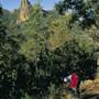 Warrumbungle National Park