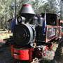 Wauchope