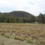 Warrumbungle National Park