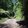 Way Way State Forest