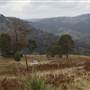 Wollondilly River Station
