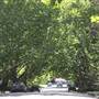 Bareena Ave - Pymble