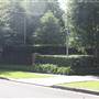 Braeside St - Pymble