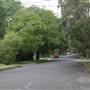 Ku-Ring-Gai Ave - Pymble