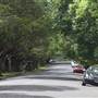 Ku-Ring-Gai Ave - Pymble