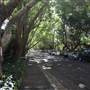 Water St - Pymble