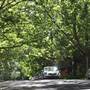 Water St - Pymble