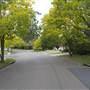 Cherrybrook