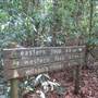 Booyong Flora Reserve