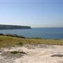 Bare Island