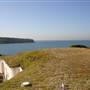 Bare Island