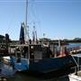 Brunswick Heads - Marina