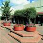 Armidale