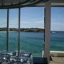 Bondi Icebergs