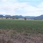 Baradine to Coonabarabran road