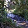 Cascade Falls Farm