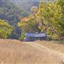 Armidale Area