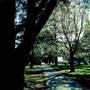 Armidale Area