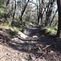 Bushrangers Cave