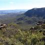 Boars Head Lookout