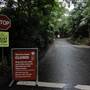 Minnamurra Rainforest Walk