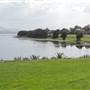 Lake Illawarra South-Skiway Park