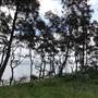 Lake Illawarra South-Skiway Park