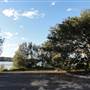 Lake Illawarra North-Purry Burry Avenue