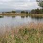 Lake Illawarra North-Budjong Creek Wetland
