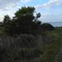 Lake Illawarra North-Budjong Creek Wetland