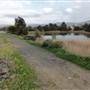 Lake Illawarra North-Budjong Creek Wetland