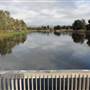 Lake Illawarra North-Budjong Creek Wetland