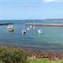 Shellharbour 2