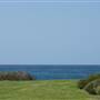 Shellharbour - The Shallows Coastal Reserve