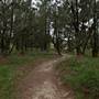 Yarramundi Reserve