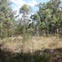 Georges River Nature Reserve
