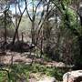 Ted Horwood Reserve