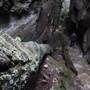 Mermaid's Cave